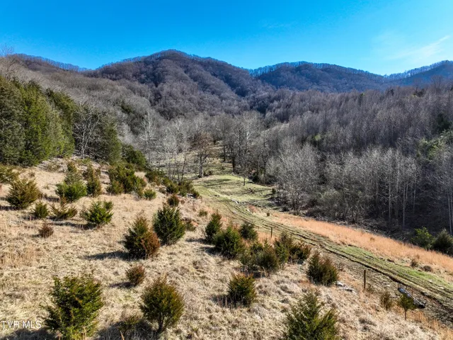 $890,000 | Tbd Rattlers Haven Drive, Gate City, VA 24251