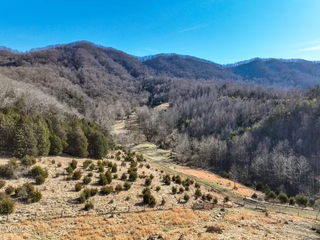 $890,000 | Tbd Rattlers Haven Drive, Gate City, VA 24251