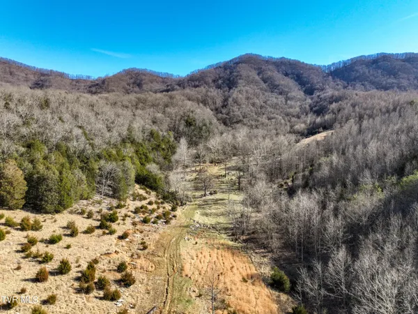 $750,000 | Tbd Rattlers Haven Drive, Gate City, VA 24251