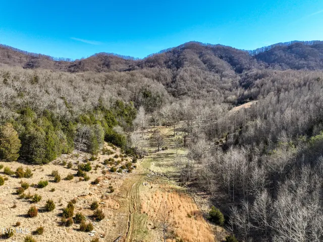 $890,000 | Tbd Rattlers Haven Drive, Gate City, VA 24251