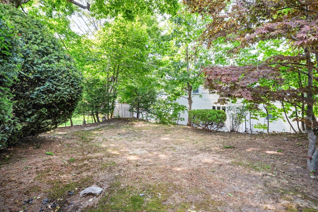 277 Appleton Street Arlington, MA 02476 - Photo 19 of 21 a view of a yard with a tree