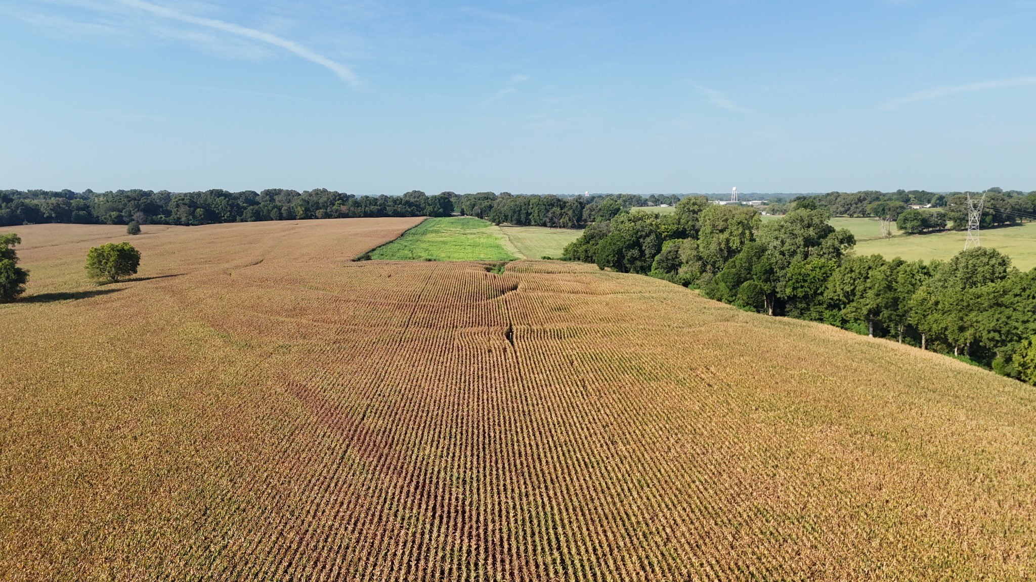 0 Antioch Highway 51 Road Covington, TN 38019 - Photo 17 of 34