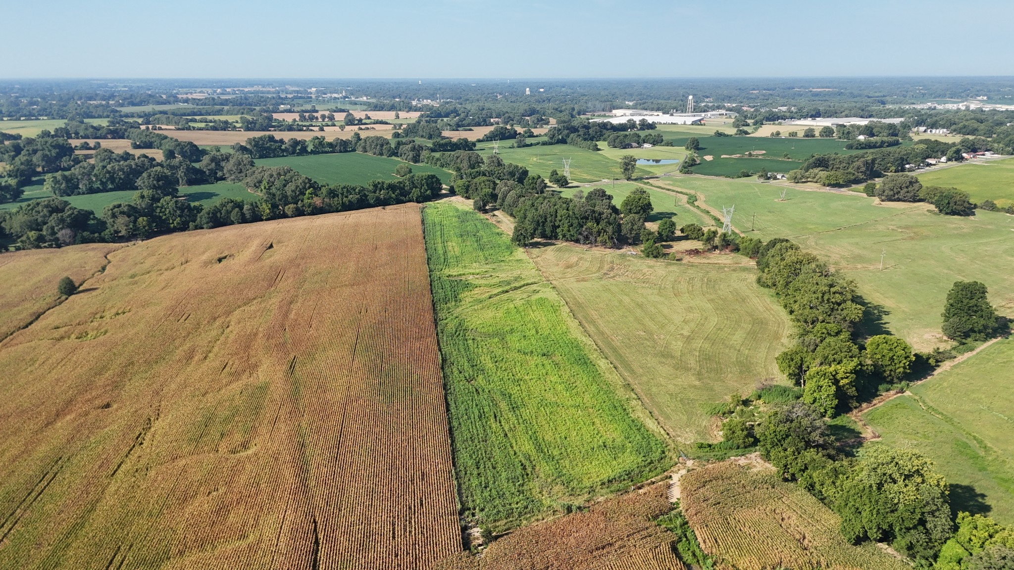 0 Antioch Highway 51 Road Covington, TN 38019 - Photo 24 of 34