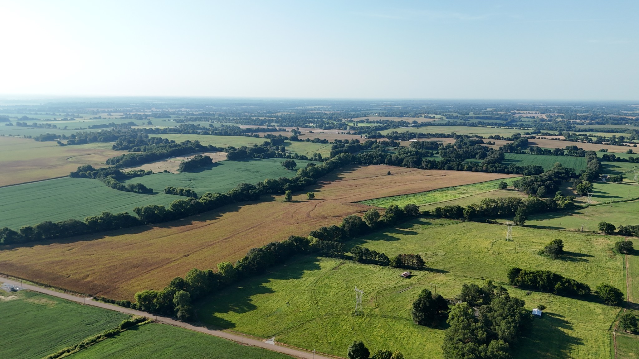 0 Antioch Highway 51 Road Covington, TN 38019 - Photo 4 of 34