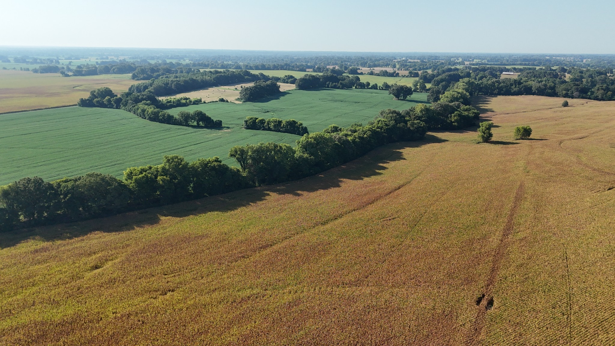0 Antioch Highway 51 Road Covington, TN 38019 - Photo 7 of 34