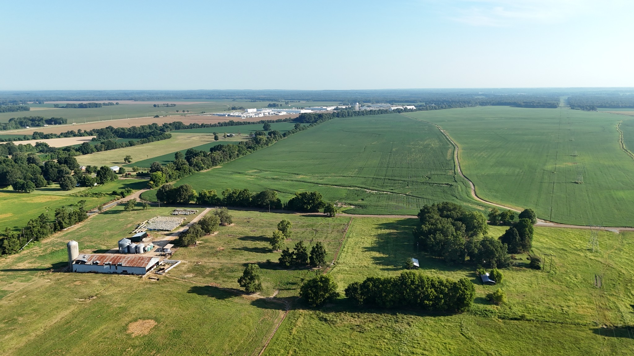 0 Antioch Highway 51 Road Covington, TN 38019 - Photo 10 of 34