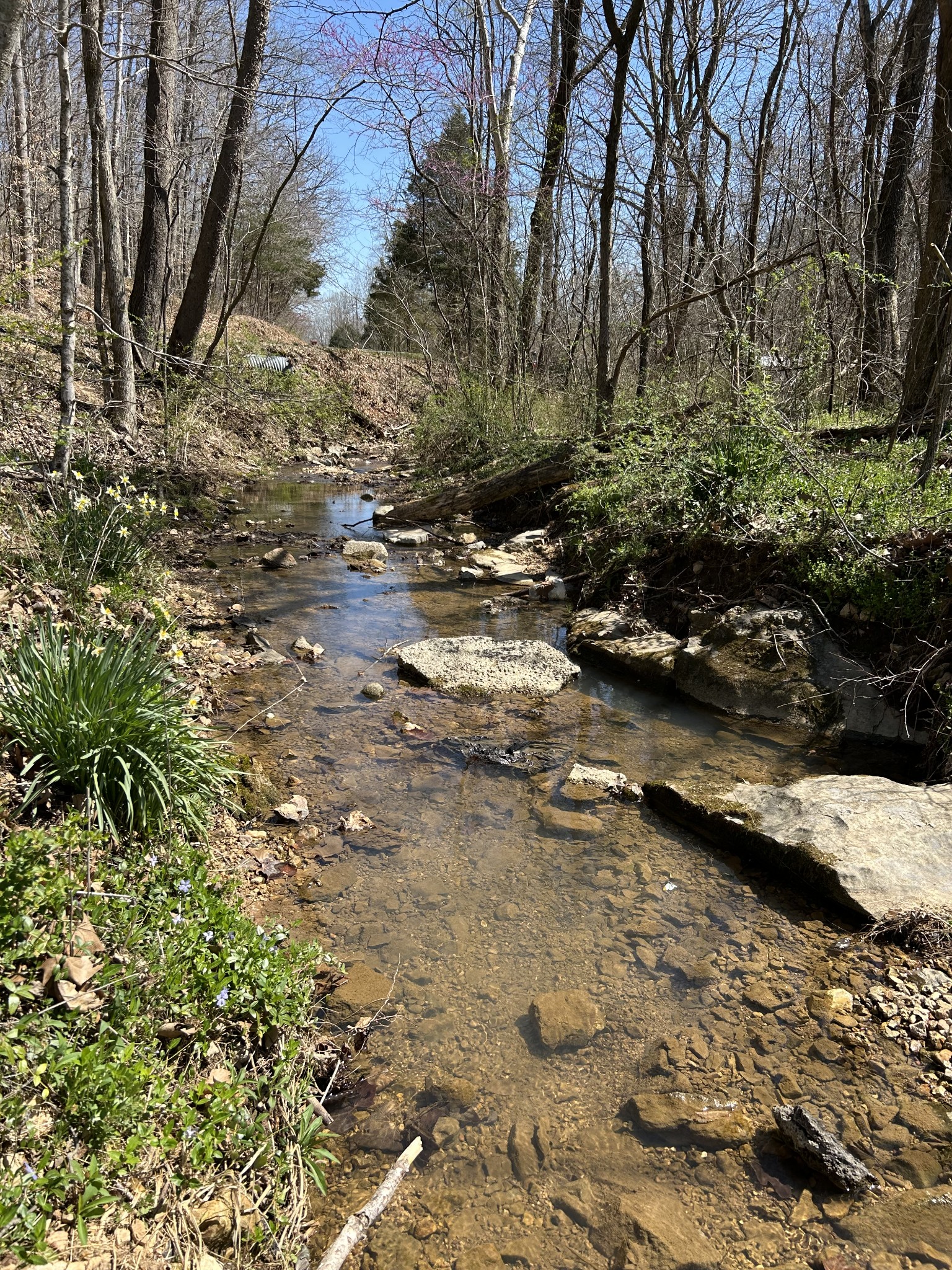 820 Lucas Road Dickson, TN 37055 - Photo 3 of 6 a view of backyard with green space