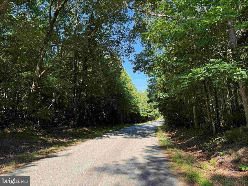 Brandy Creek Road Emporia, VA 23847 - Photo 15 of 15