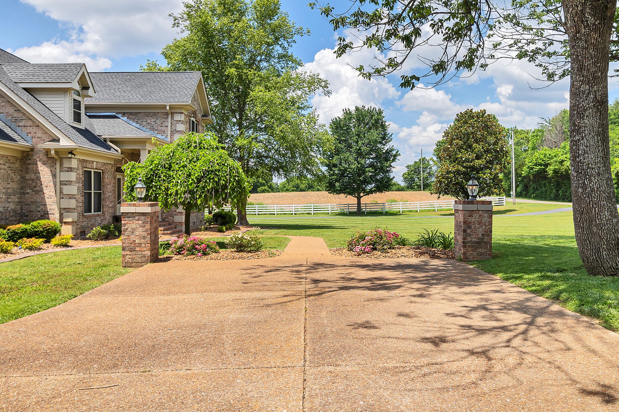 3555 Coble Road Lewisburg, TN 37091 - Photo 4 of 45 a row of trees and backyard of the house