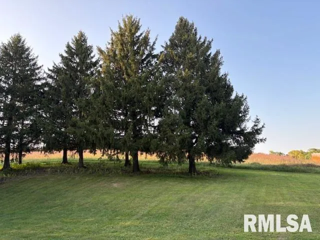 a view of a park with large trees
