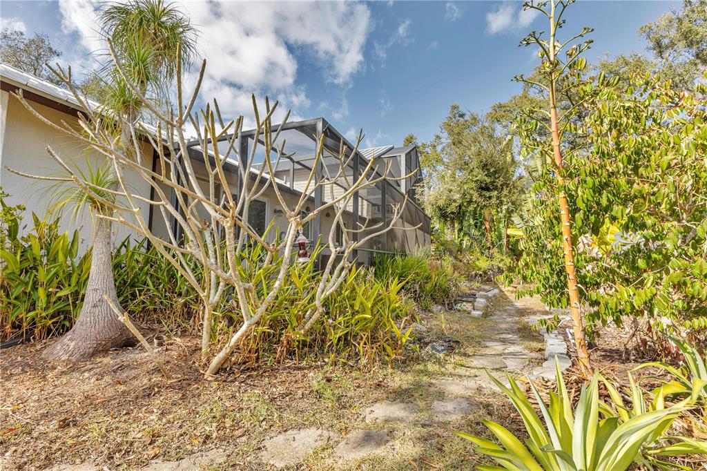 1035 Sirus Trail Sarasota, FL 34232 - Photo 41 of 48 a view of a plant with a plant