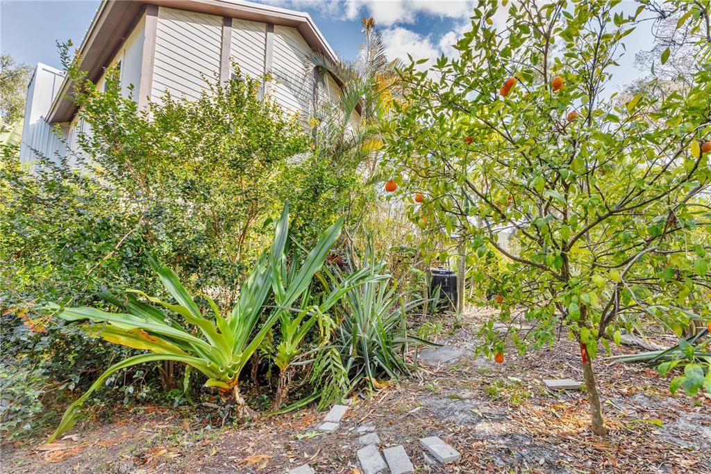 1035 Sirus Trail Sarasota, FL 34232 - Photo 43 of 48 a backyard of a house with lots of green space