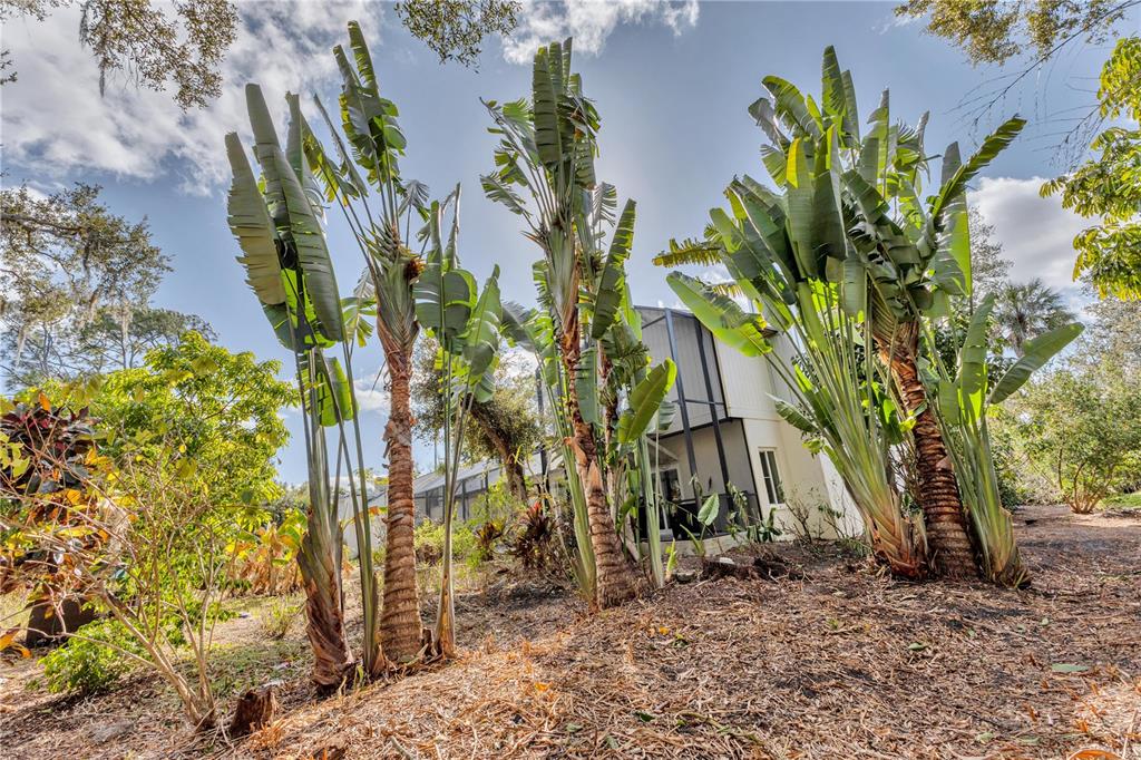 1035 Sirus Trail Sarasota, FL 34232 - Photo 44 of 48 a backyard of a house with lots of green space