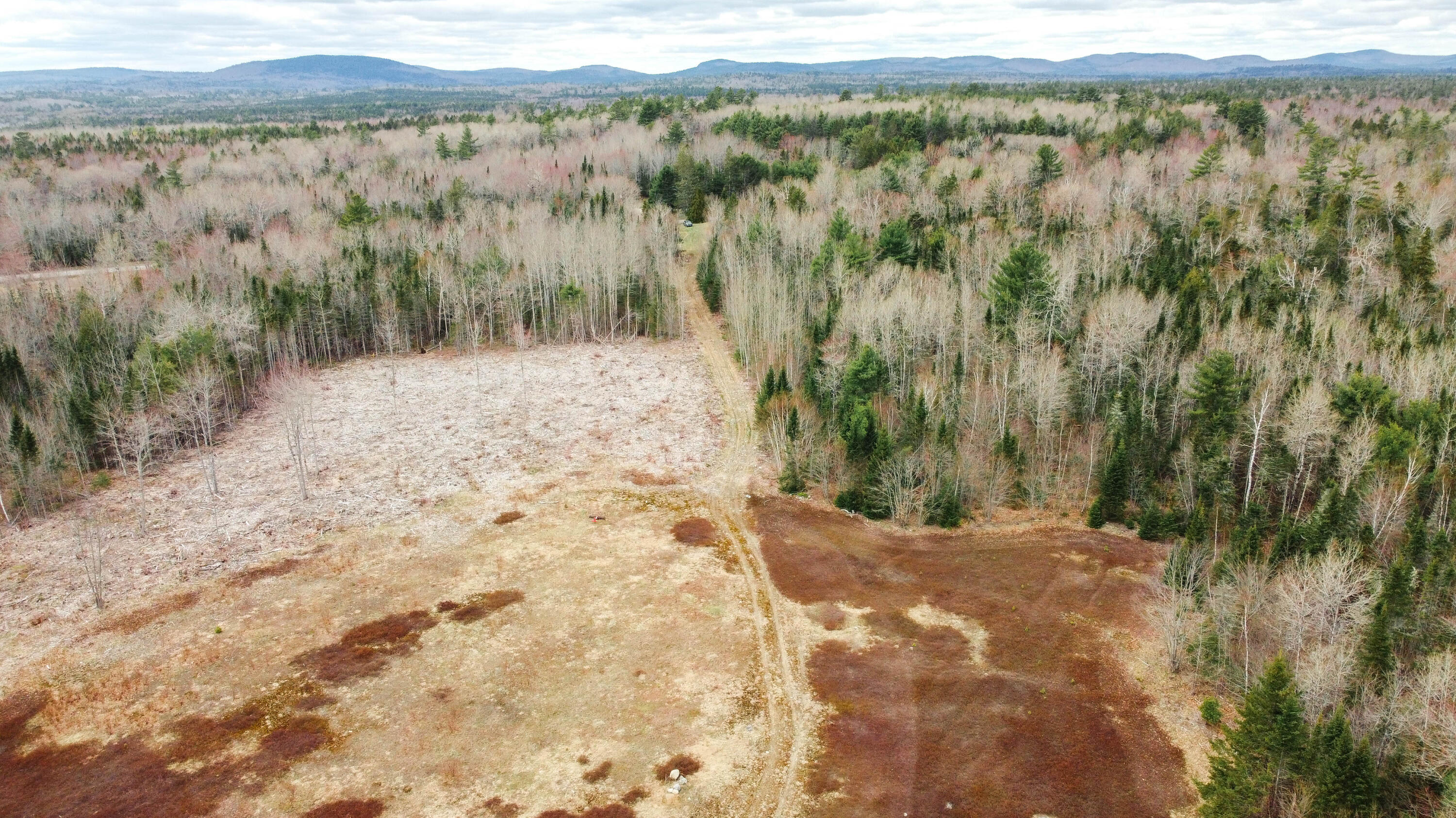 517 Tourtelotte Ridge Road Ellsworth, ME 04605 - Photo 14 of 21 517tourtelotte-15