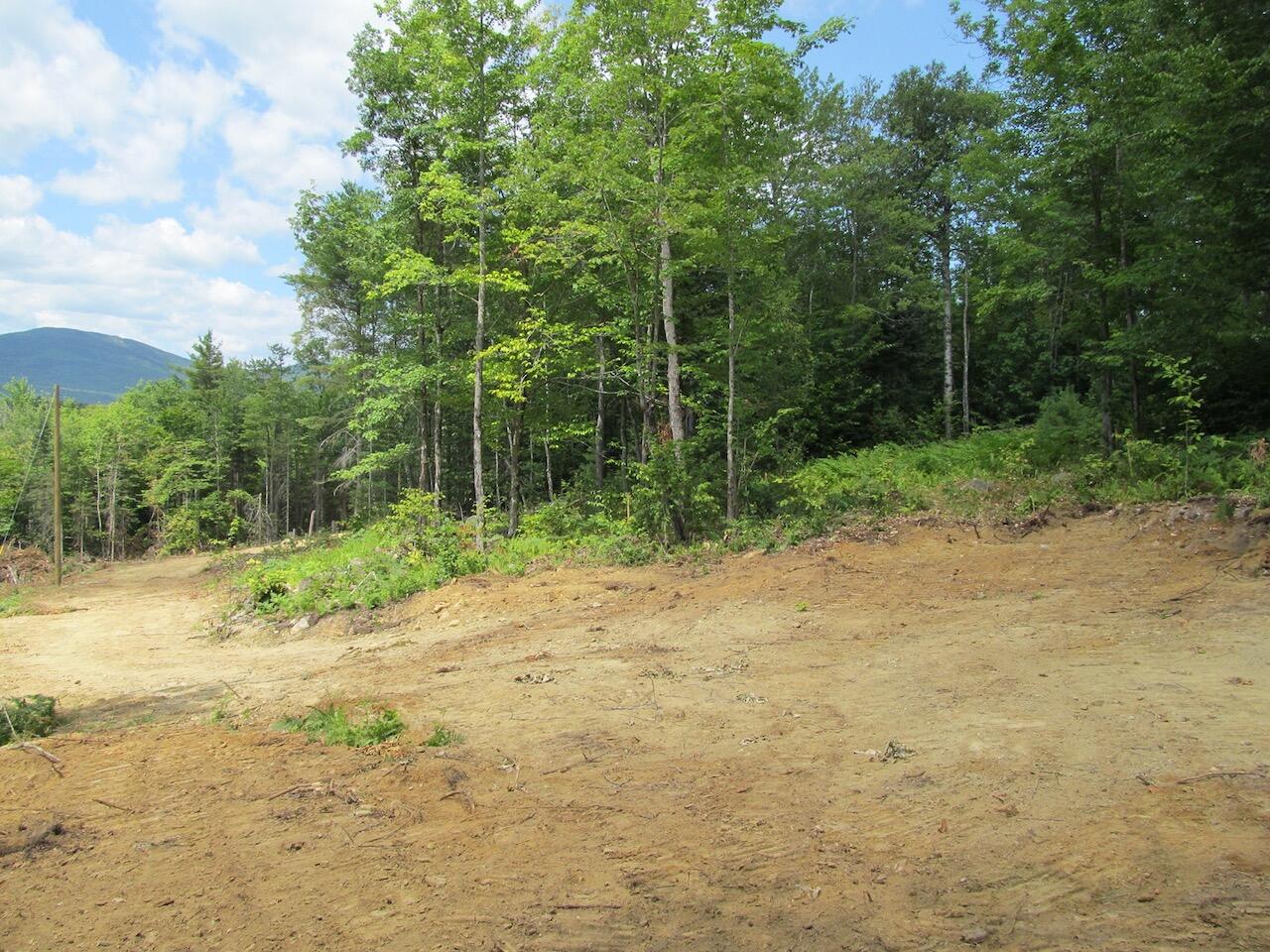 37-2 Brown Neighborhood Road Weld, ME 04285 - Photo 3 of 27