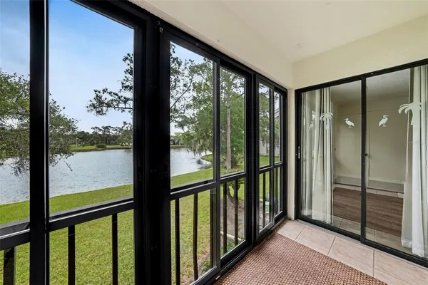 a view of a large window with an outdoor view