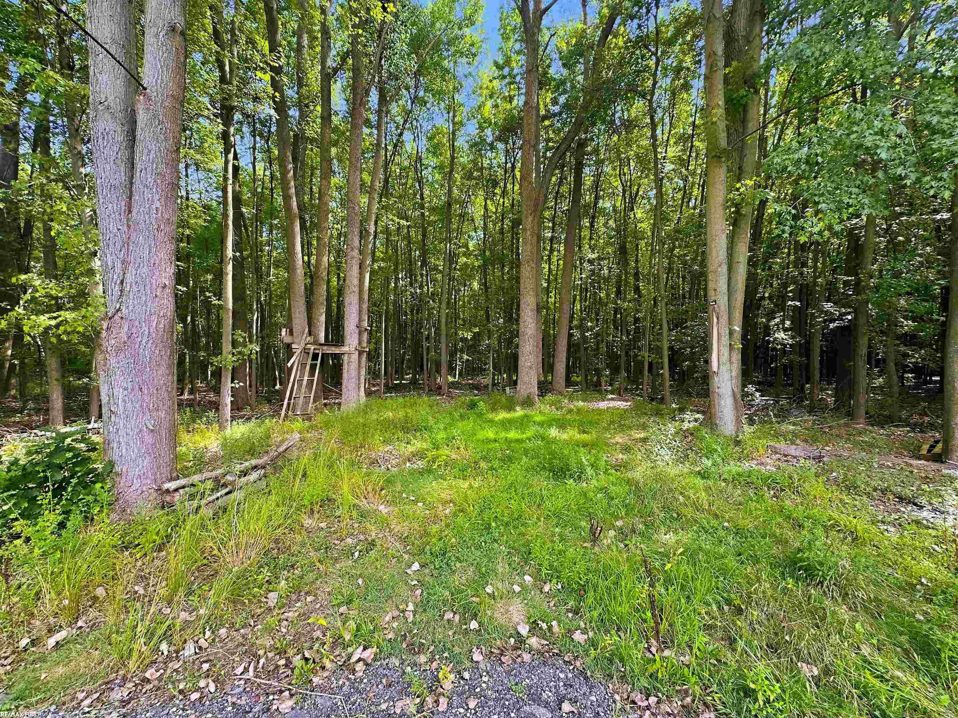 2635 Palms Road Columbus, MI 48063 - Photo 50 of 51 Gallery Image 50