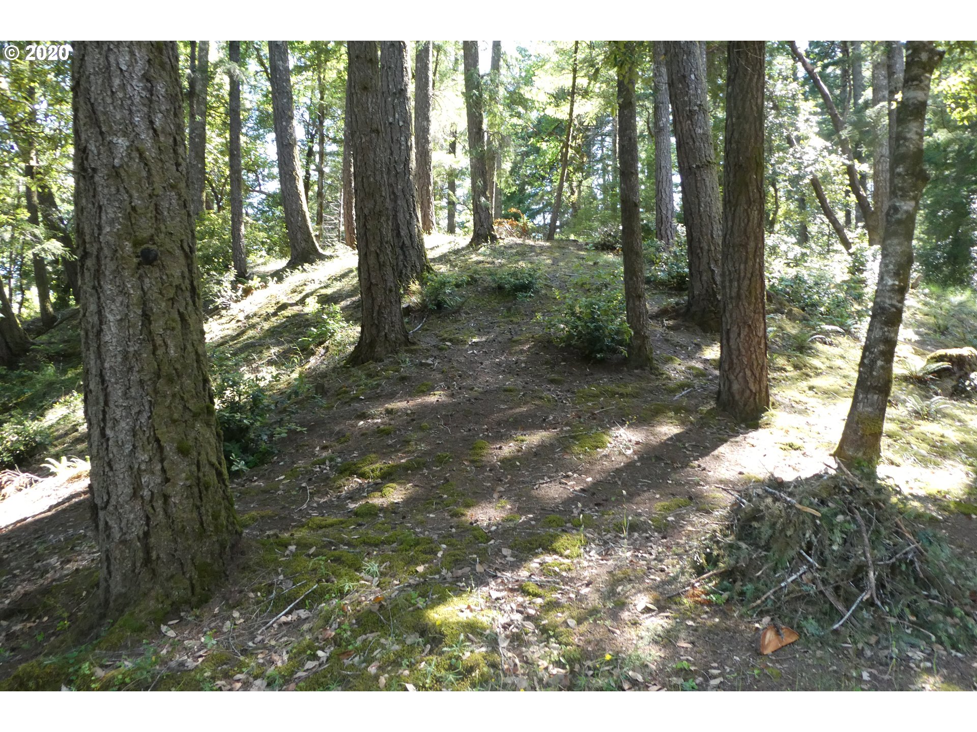 37705 Agness Illahe Road Agness, OR 97406 - Photo 27 of 31