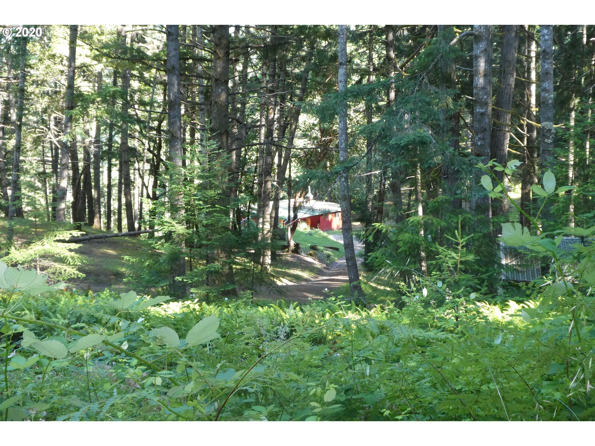37705 Agness Illahe Road Agness, OR 97406 - Photo 31 of 31