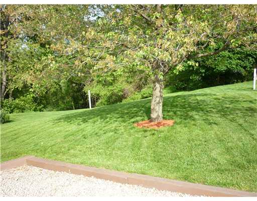 Yard/Garden. 