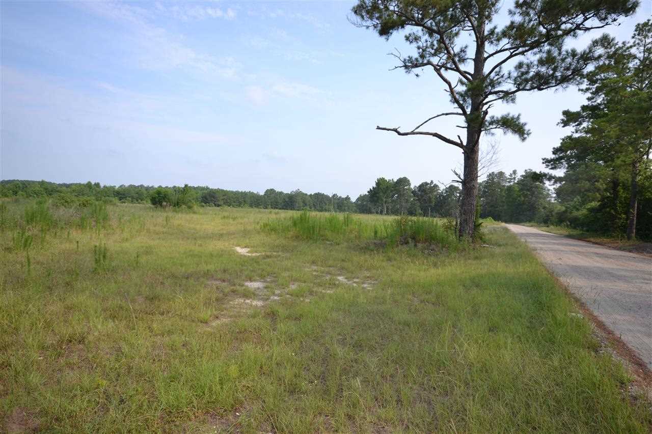 Horace Matthews Road Effingham, SC 29541 - Photo 1 of 1 Gallery Image 1