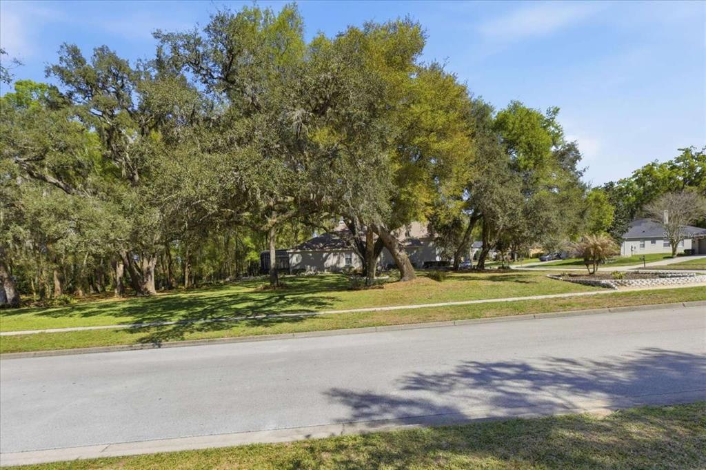 597 Sand Wedge Loop Apopka, FL 32712 - Photo 8 of 71