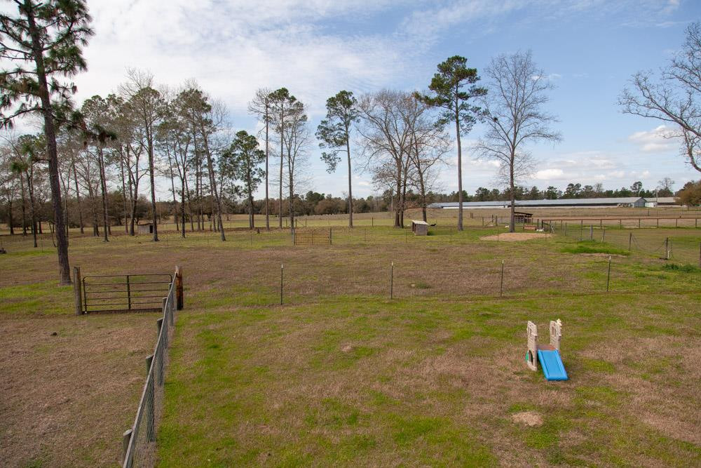 530 Bodie Road Wagener, SC 29164 - Photo 70 of 74 Gallery Image 70