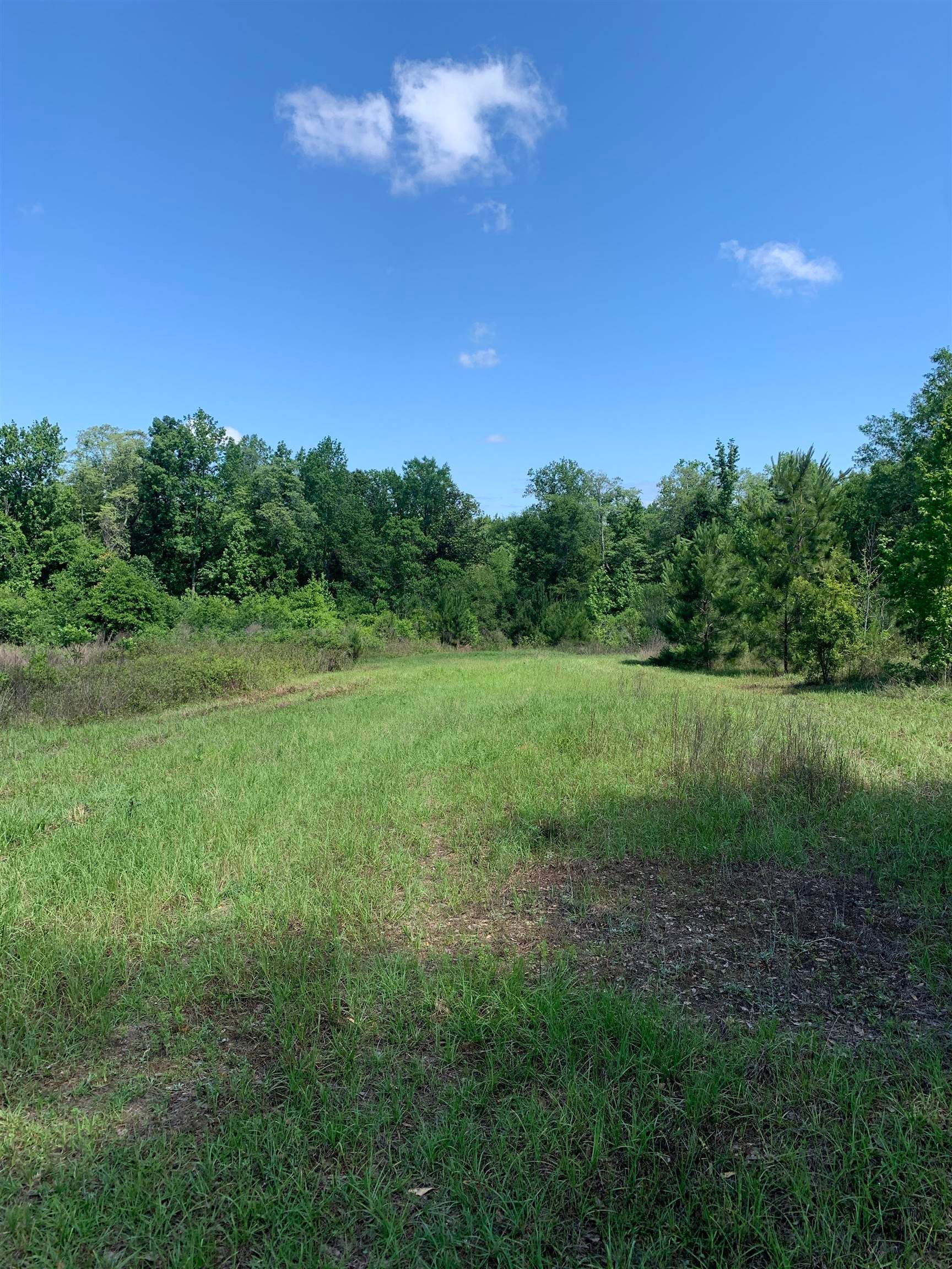 21599 Airport Road Andalusia, AL 36421 - Photo 32 of 42 Gallery Image 32