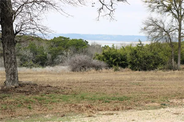 a view of dirt field with large trees