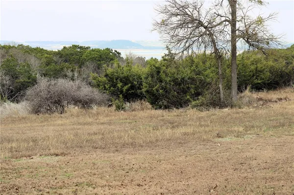 a view of a dry yard with trees in the background