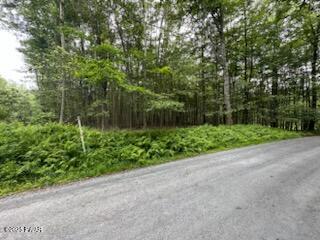 198 Lake Road Lake Ariel, PA 18436 - Photo 1 of 8