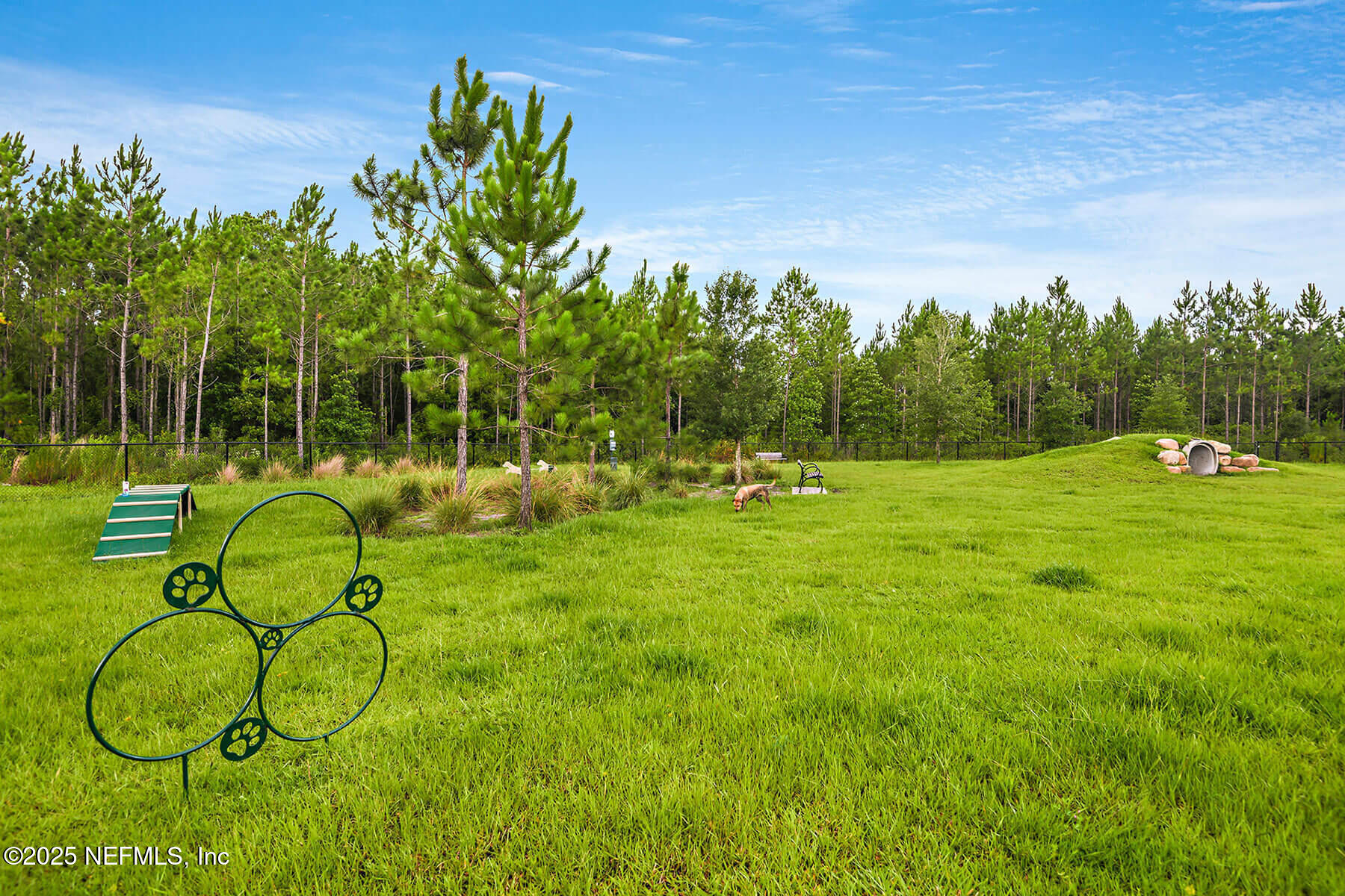 42 Hogan Court St. Augustine, FL 32092 - Photo 80 of 83 JAX_Shearwater_Pic_DogPark_1of1