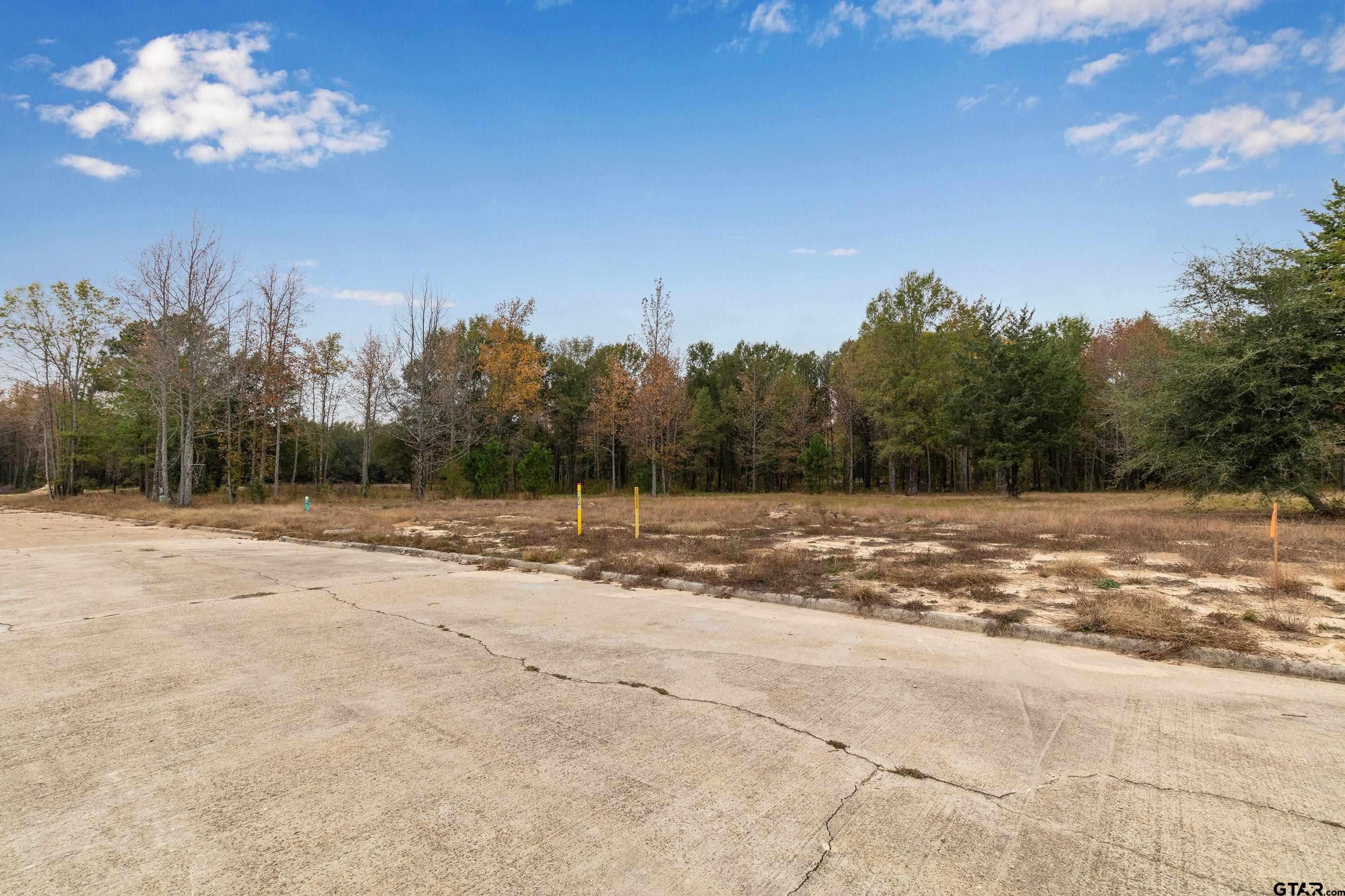 140 Cardinal Mount Mount Pleasant, TX 75455 - Photo 2 of 6 a view of a yard with a large trees