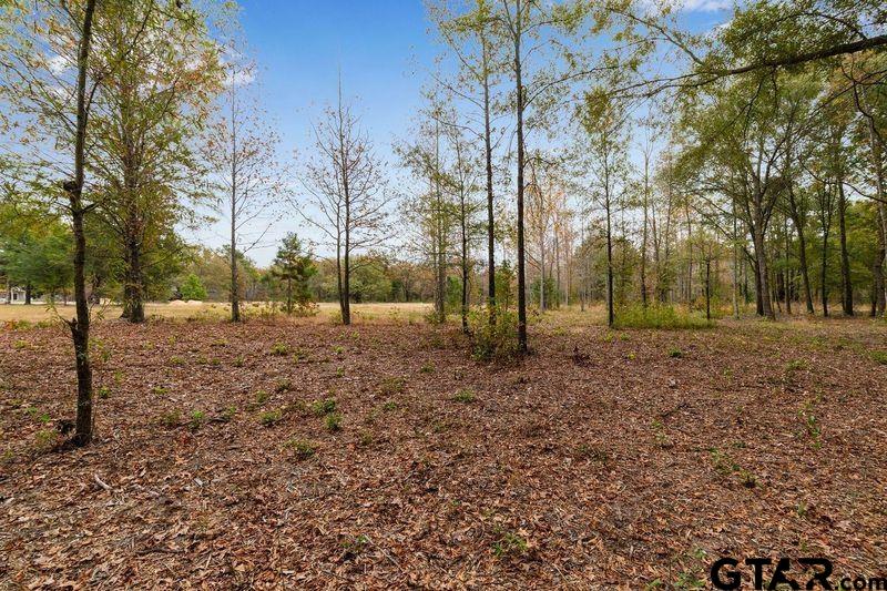 140 Cardinal Mount Mount Pleasant, TX 75455 - Photo 3 of 6 a view of house with trees in the background