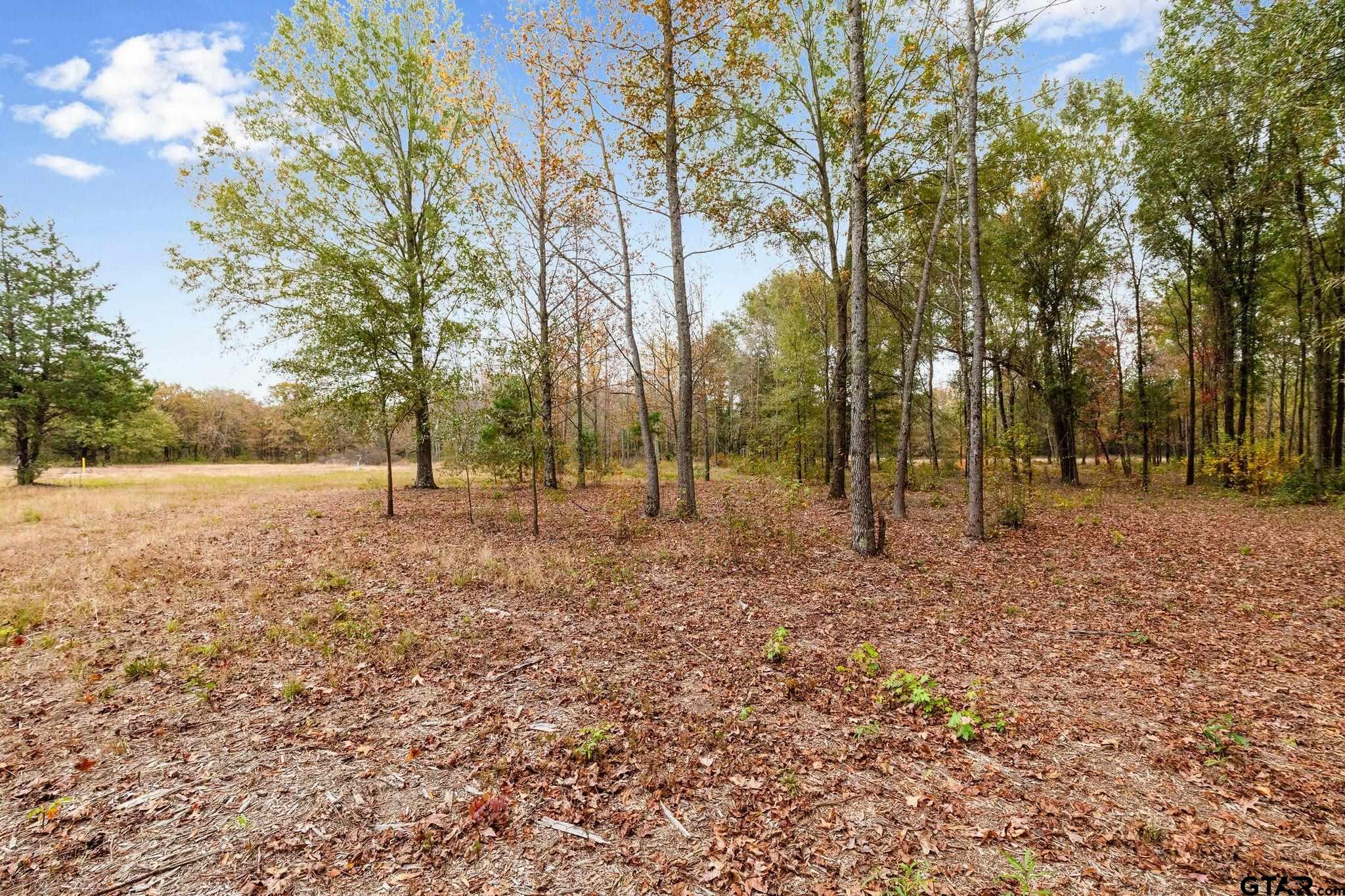 140 Cardinal Mount Mount Pleasant, TX 75455 - Photo 4 of 6 a view of outdoor space with trees