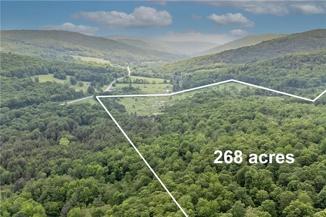 $899,000 | 4197 County Highway, Hamden, NY 13782