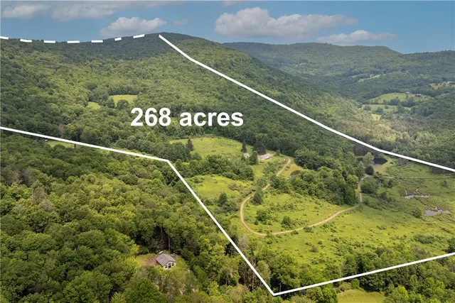 $899,000 | 4197 County Highway, Hamden, NY 13782