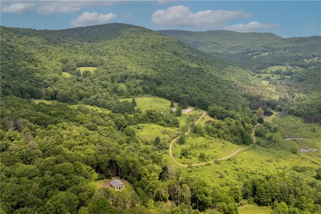 $899,000 | 4197 County Highway, Hamden, NY 13782