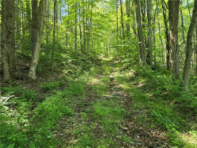 $899,000 | 4197 County Highway, Hamden, NY 13782