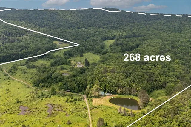 $899,000 | 4197 County Highway, Hamden, NY 13782