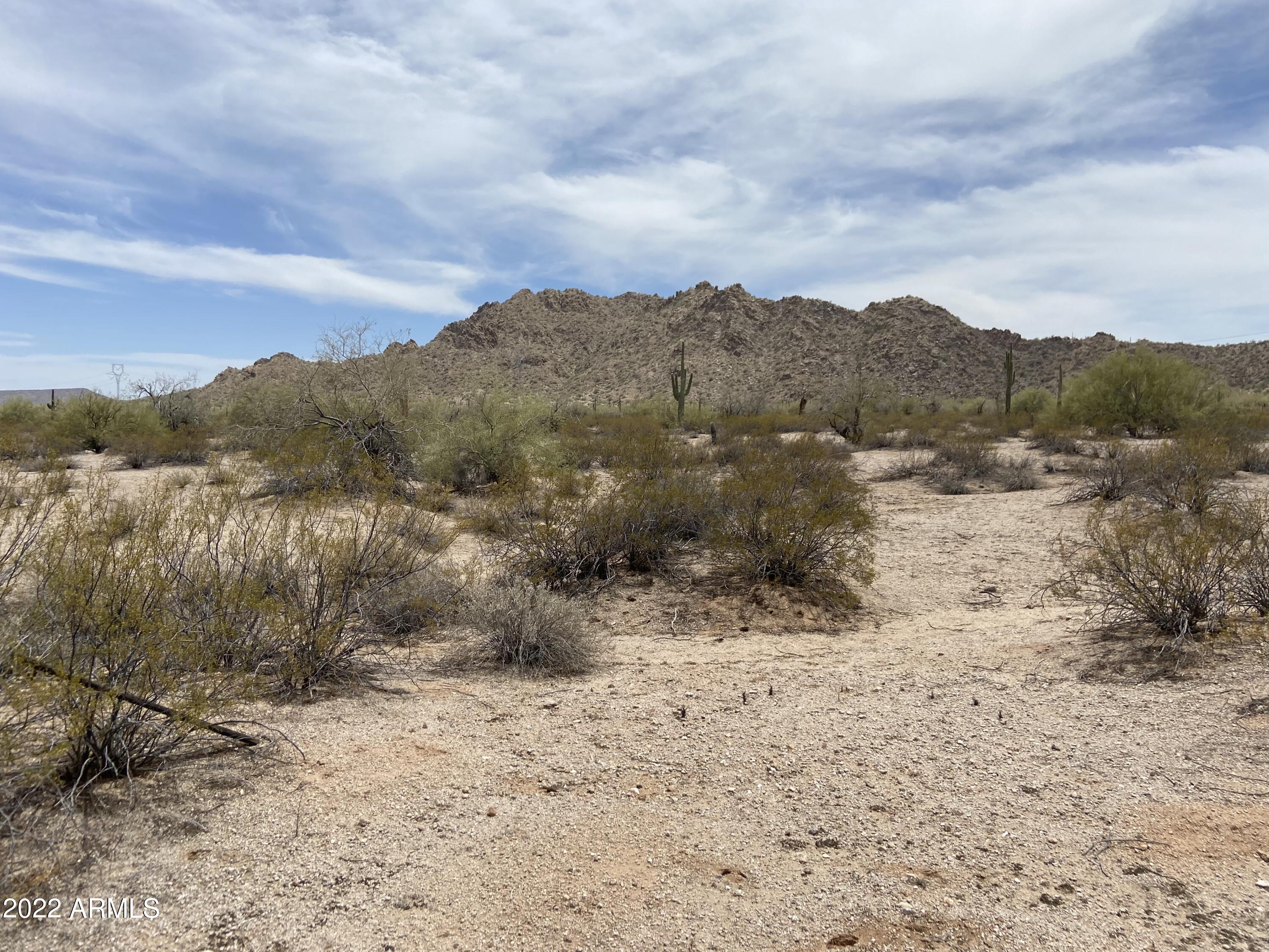 2453 South Rincon Road, Unit 45 Maricopa, AZ 85139 - Photo 33 of 33 IMG_4784