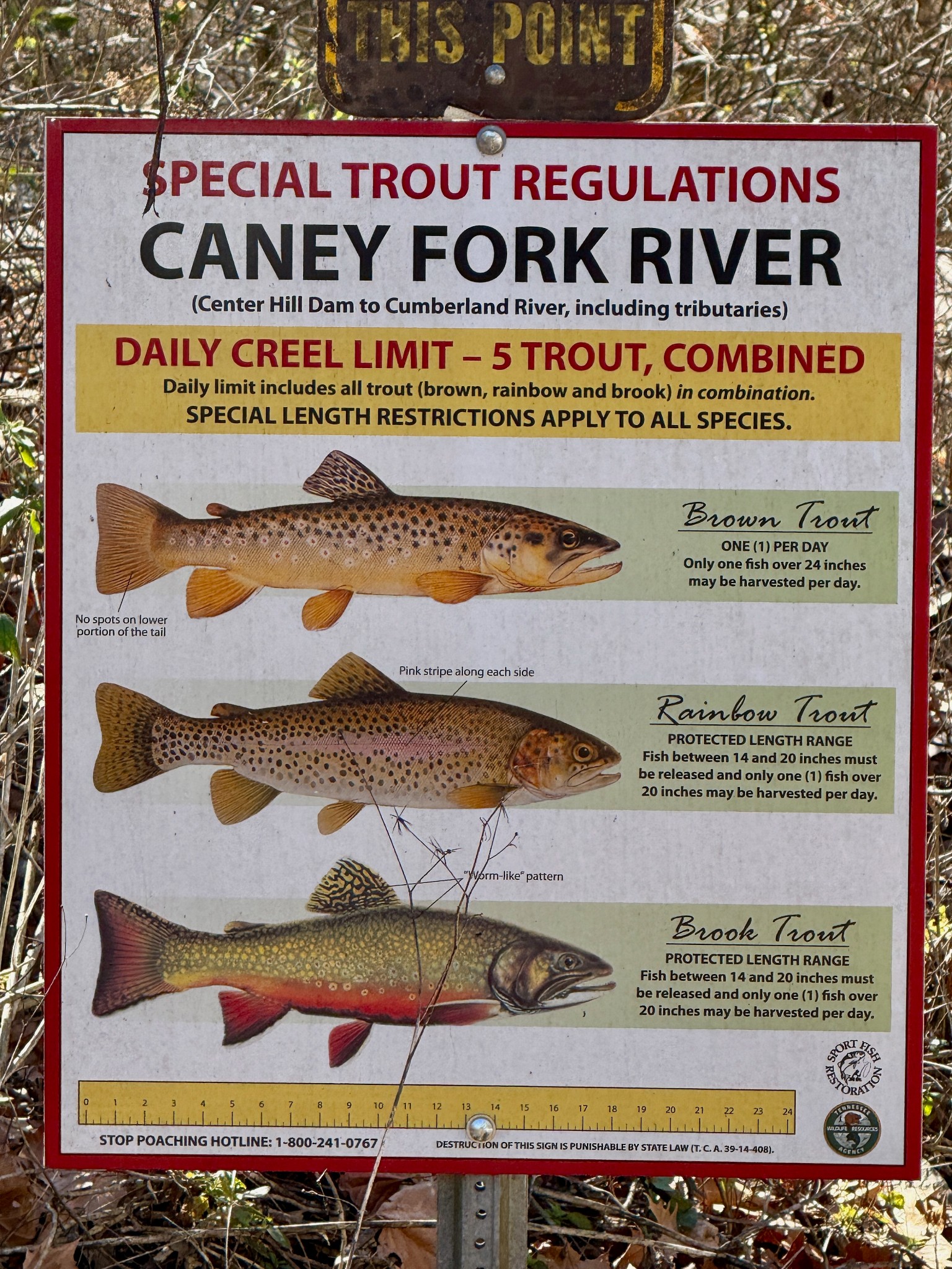 588 Club Springs Road Buffalo Valley, TN 38548 - Photo 35 of 72