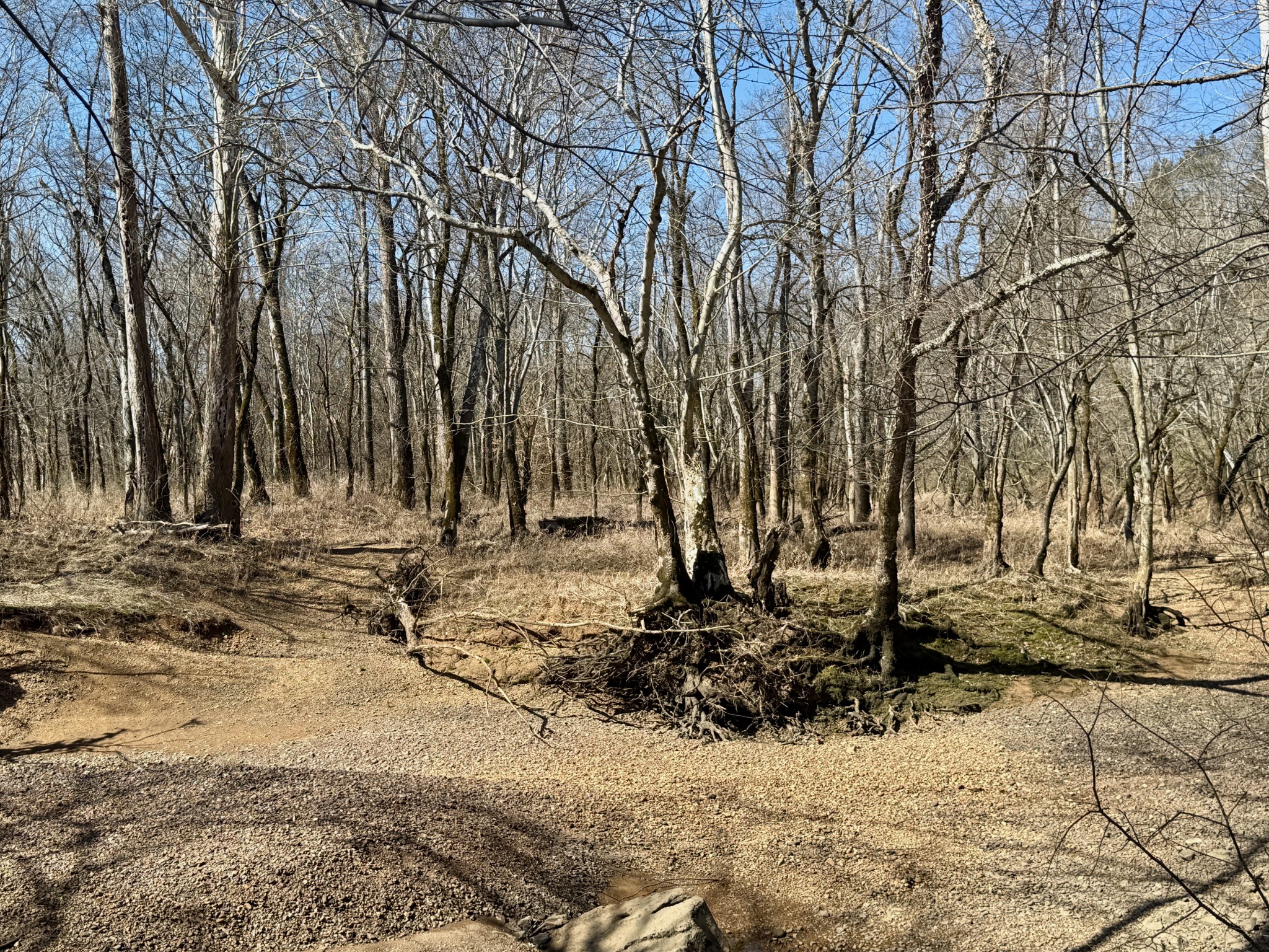 588 Club Springs Road Buffalo Valley, TN 38548 - Photo 37 of 72