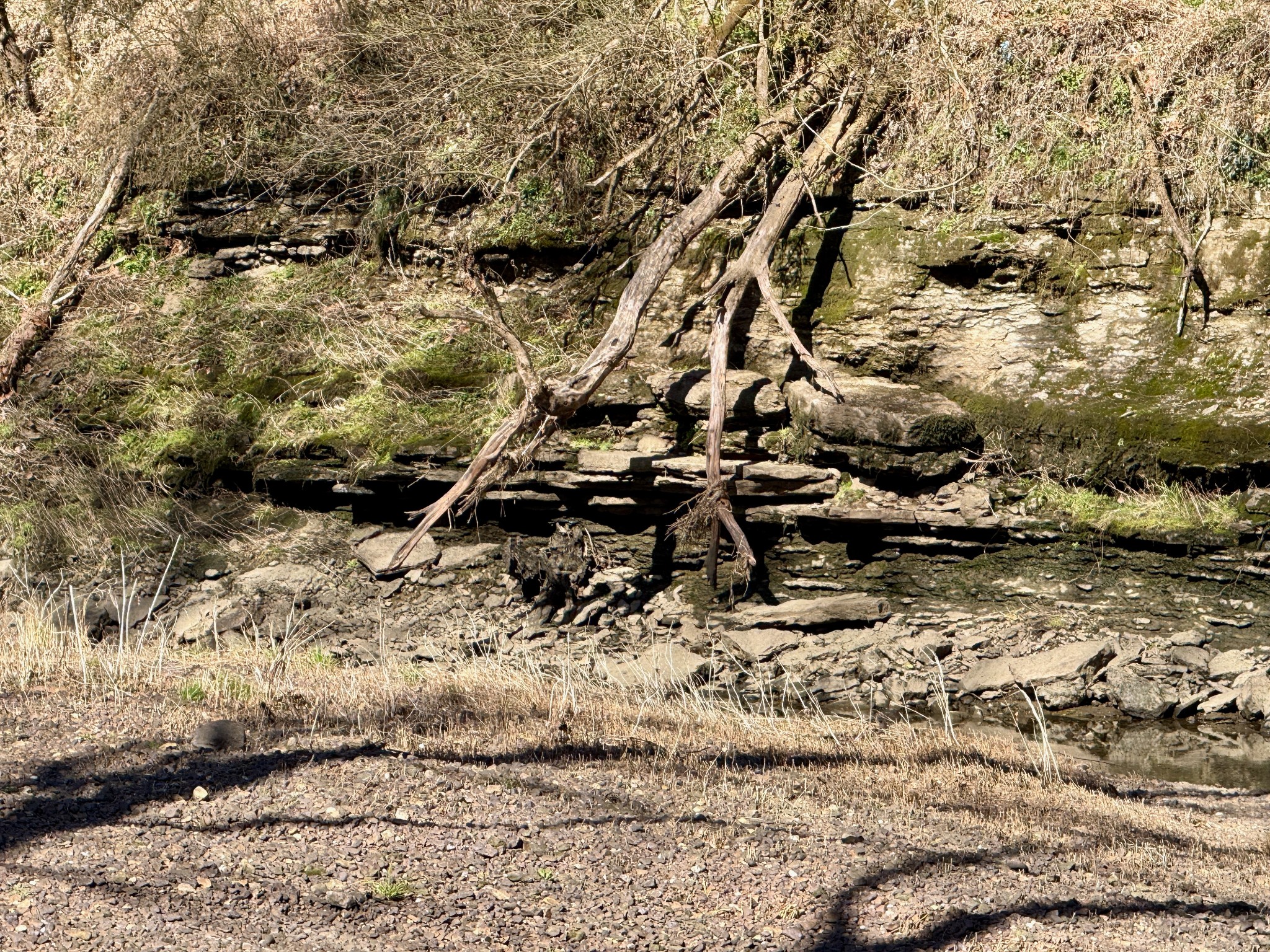 588 Club Springs Road Buffalo Valley, TN 38548 - Photo 40 of 72