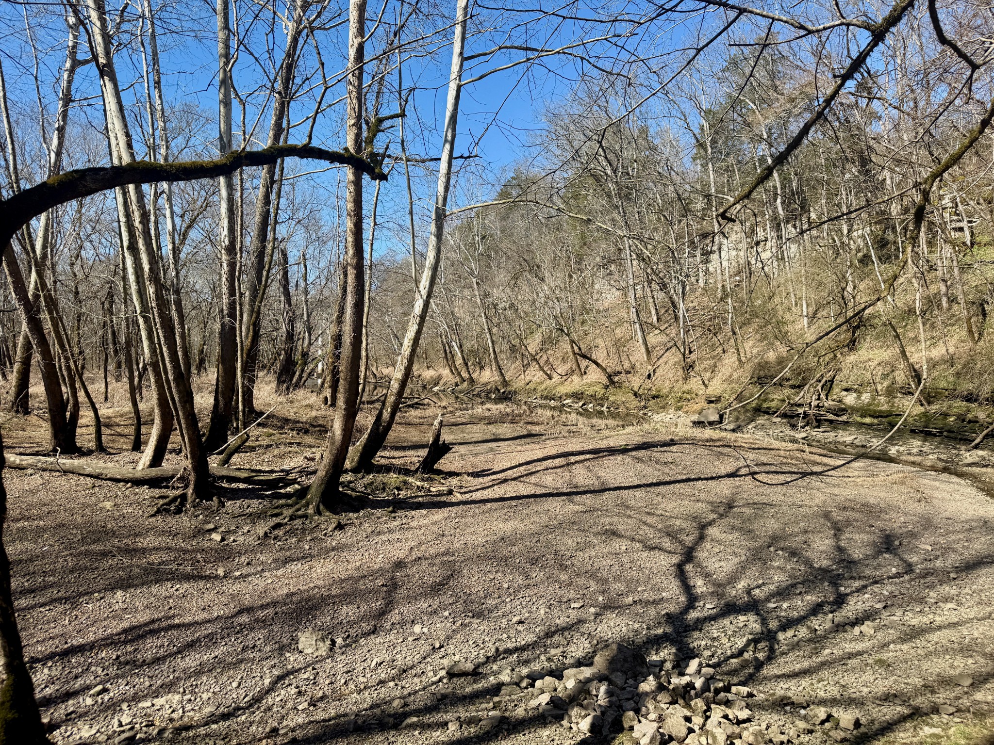 588 Club Springs Road Buffalo Valley, TN 38548 - Photo 41 of 72