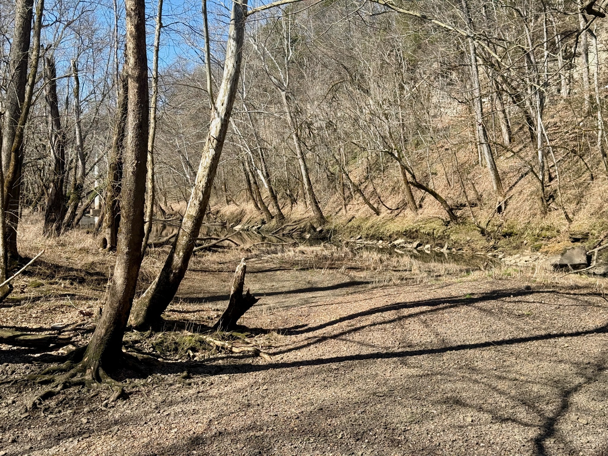 588 Club Springs Road Buffalo Valley, TN 38548 - Photo 42 of 72