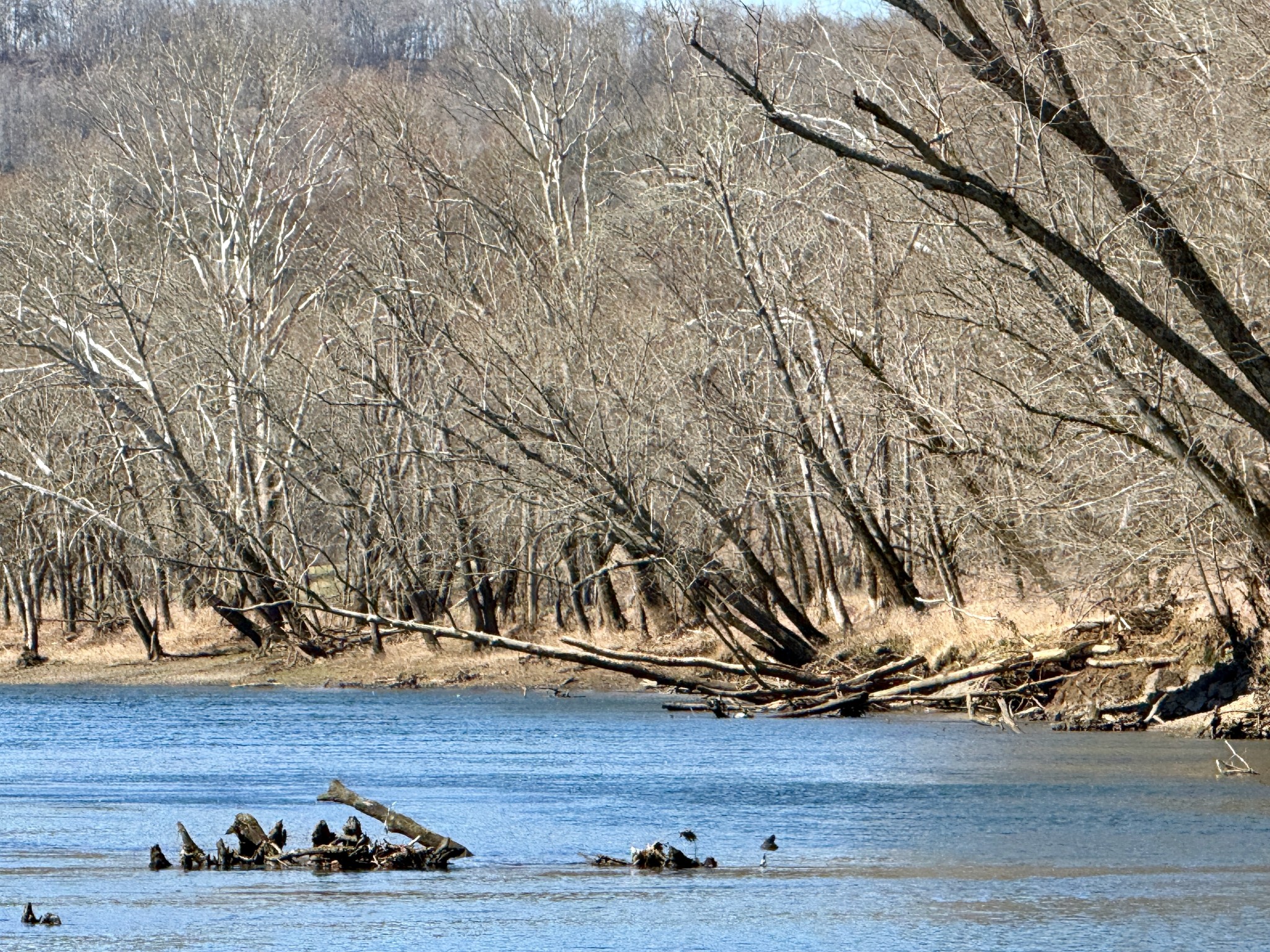 588 Club Springs Road Buffalo Valley, TN 38548 - Photo 49 of 72