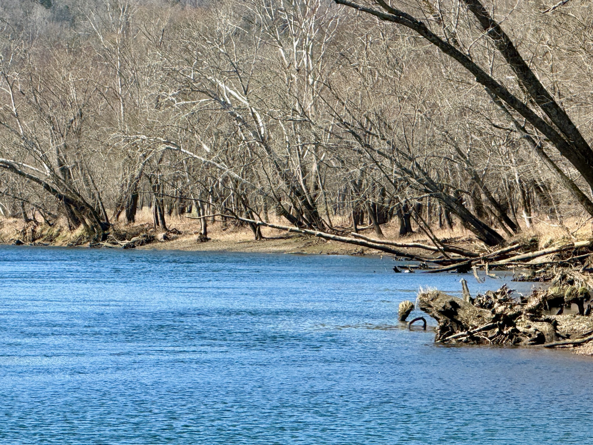588 Club Springs Road Buffalo Valley, TN 38548 - Photo 50 of 72