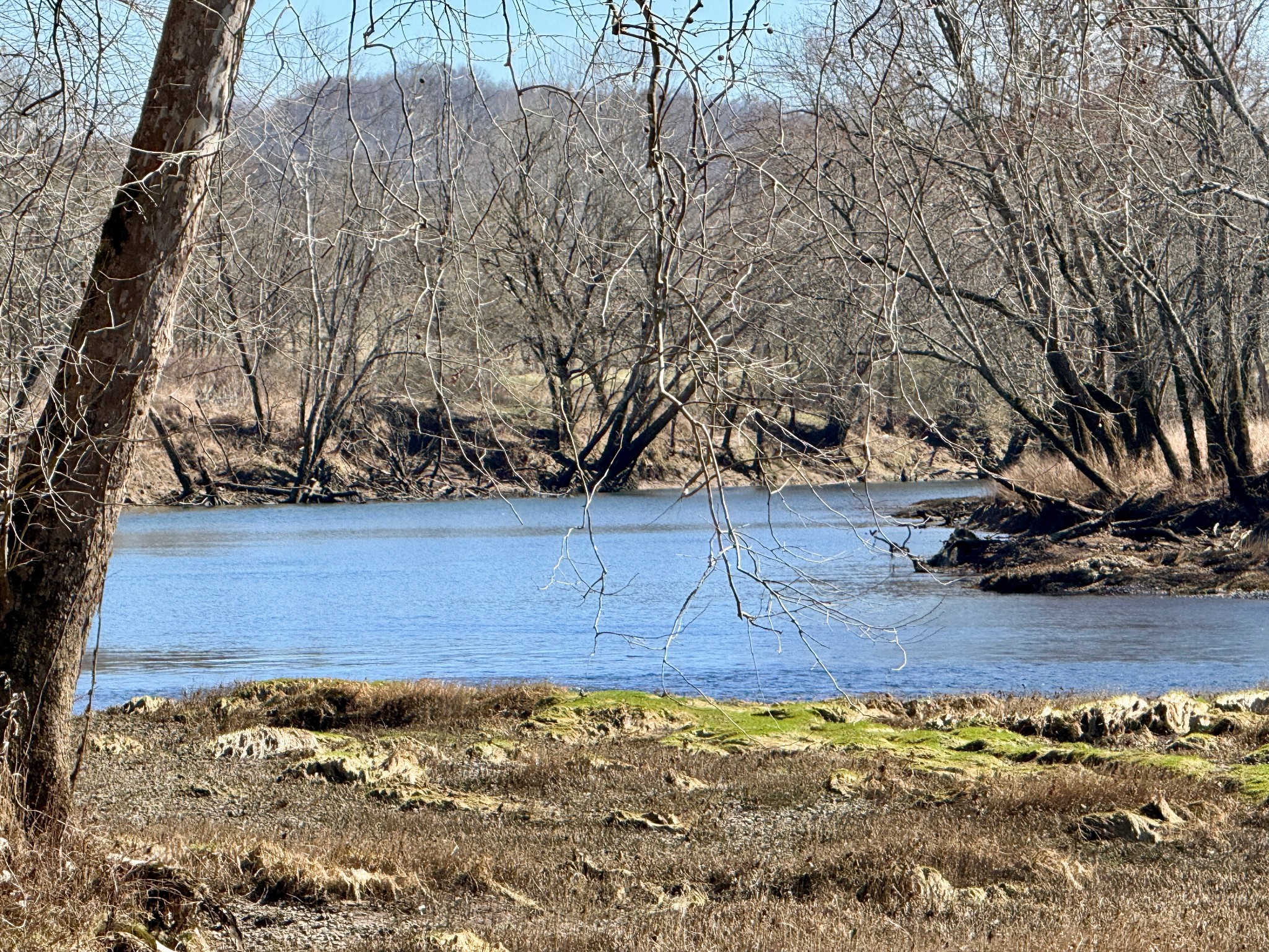 588 Club Springs Road Buffalo Valley, TN 38548 - Photo 54 of 72