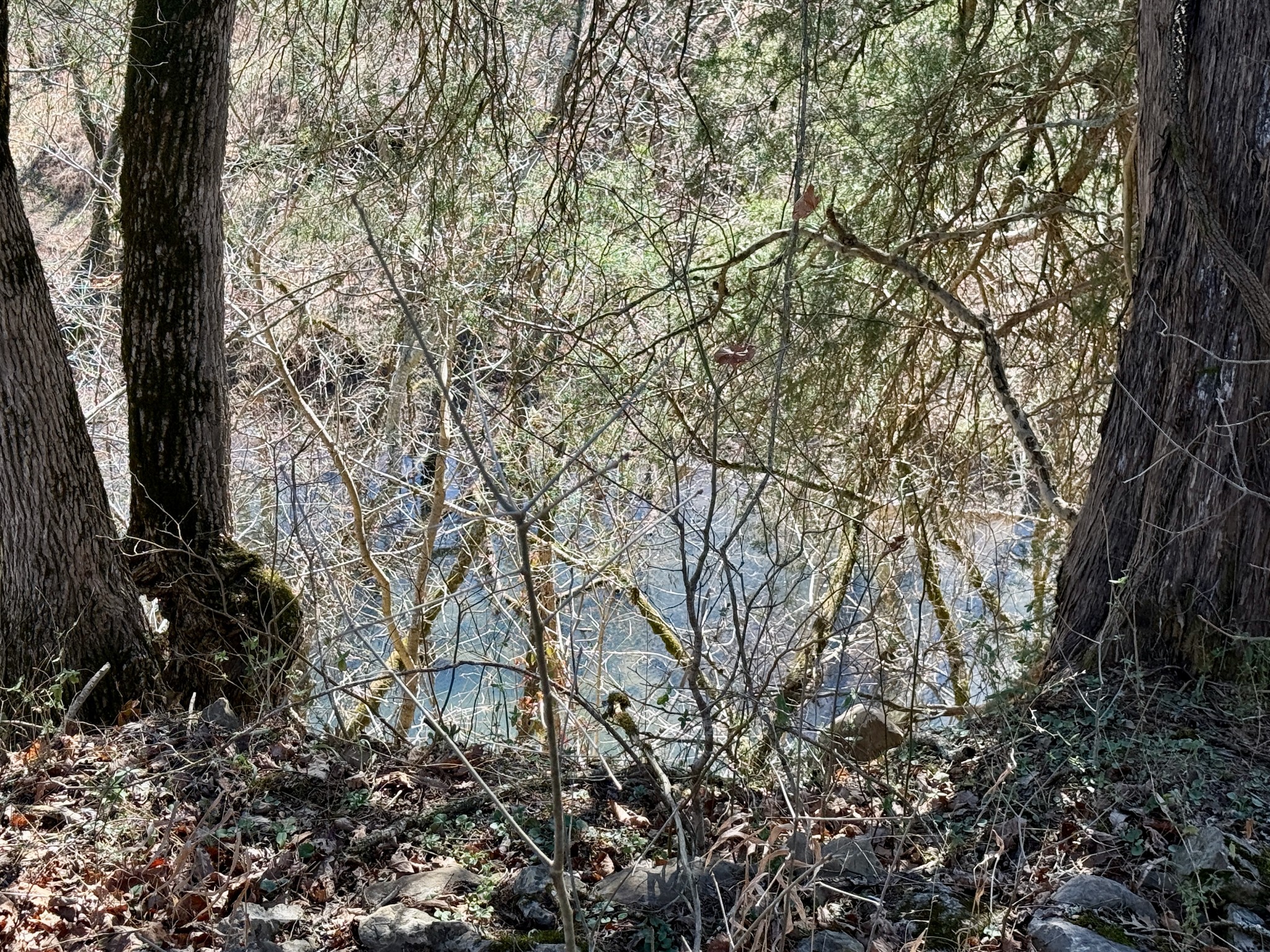 588 Club Springs Road Buffalo Valley, TN 38548 - Photo 57 of 72